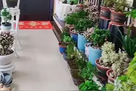 摊上这样的邻居，是“倒霉”，还是“真香”？评论区打成一团了图片