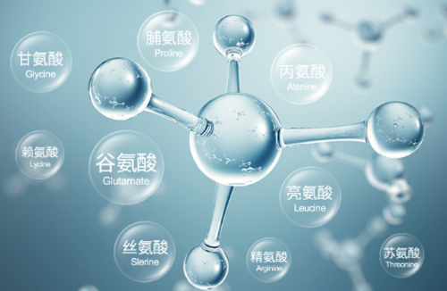 小行星中发现氨基酸，是否意味着人类，可能是外星人的后裔？