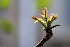 报警后签了和解协议，还能反悔吗？图片