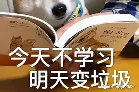 文案、品牌、运营、策划——网络热词汇总图片