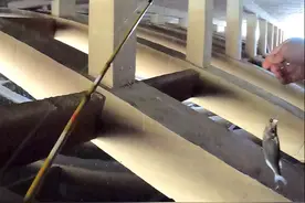 渔翘传承微物系列542ULC图片