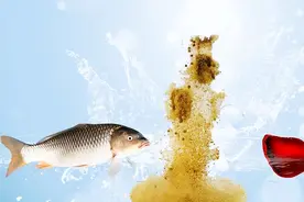 夏季钓鲤鱼用玉米粒还是用商品粉饵？有个优先原则，别弄混了图片