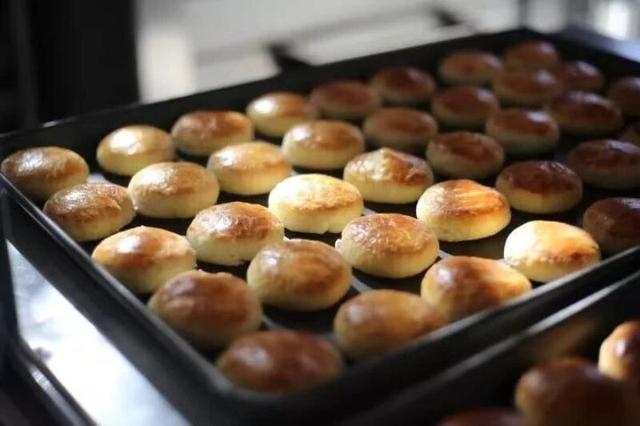 春游云南丨春天来楚雄，赏花、拍花、吃花！