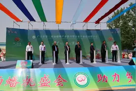 邢台广宗：  “桃产业”蝶变为乡村振兴“美丽经济”图片
