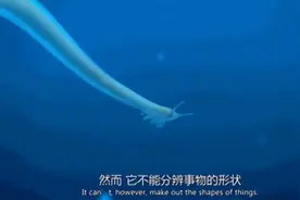 都说生物在不断进化，人类为什么反而会退化？图片