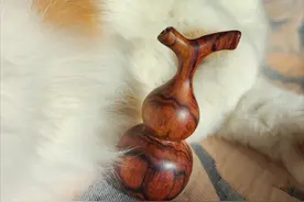 收集文玩葫芦第二季图片