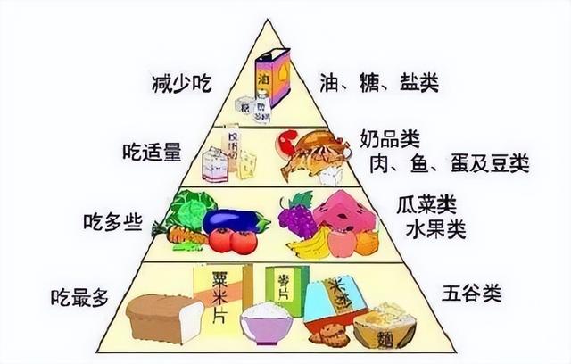 糖类、脂肪、蛋白质的代谢