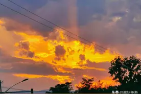 如果失眠，可以尝试早睡早起图片