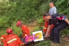 广东一女子爬山被野蜂蜇伤当场昏厥图片