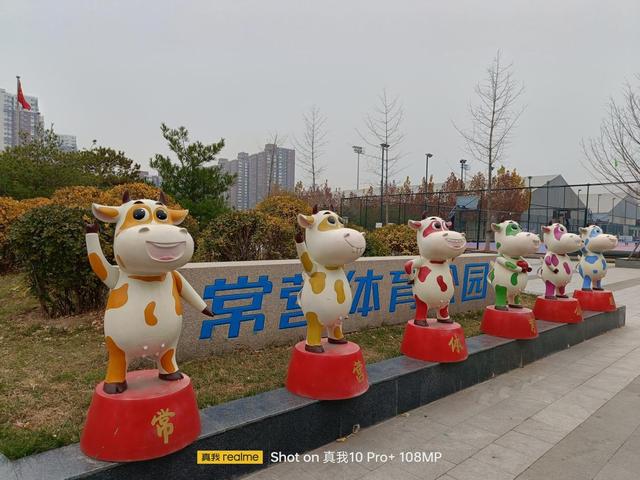 realme真我10 Pro+评测：2160Hz高频调光 一亿像素主摄加持