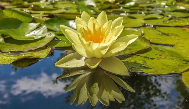 豪华别墅凶猛“闹鬼”，四川小伙成功破解