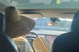 戴草帽的特斯拉车主带火一个品类！不少商家单品月销超10万件图片