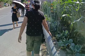 三伏天里的苏马荡，不一样的人间烟火图片
