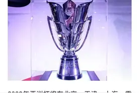 中国组委会为何放弃2023年亚洲杯足球赛决赛举办权图片