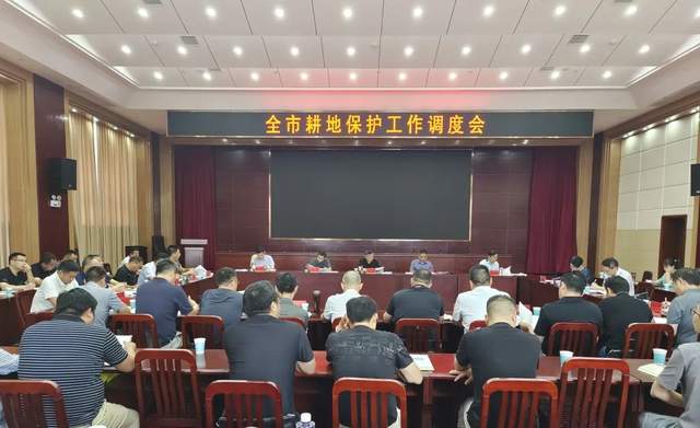 再加力，再加压！常德市自然资源和规划局召开全市耕地保护工作调度会(图1)