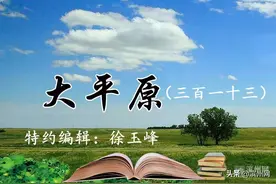 大平原（三百一十三）|记忆方言图片
