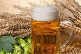 夏季好啤酒推荐！这6款“高口碑”啤酒，值得囤着喝，清凉又解暑图片