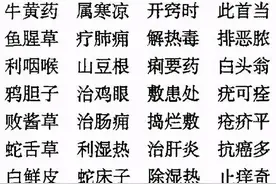 老中医毕生精髓：中药药性《三字经》，非常实用，建议收藏+分享图片