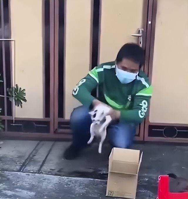 èˮУСˮʩչͦ6ѽ