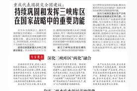 重庆代表团提交全团建议：持续巩固和发挥三峡库区 在国家战略中的重要功能图片