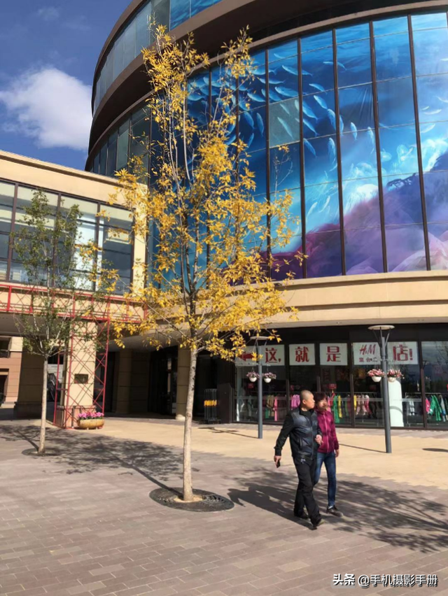 摄影新手？别担心，掌握这5个技巧，即便只用手机也能拍出好照片