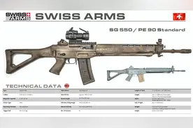 武器｜SG 550突击步枪图片