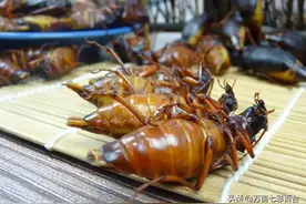 夏至后的第一场雨正式落下！让我们一起抓山水牛吧图片