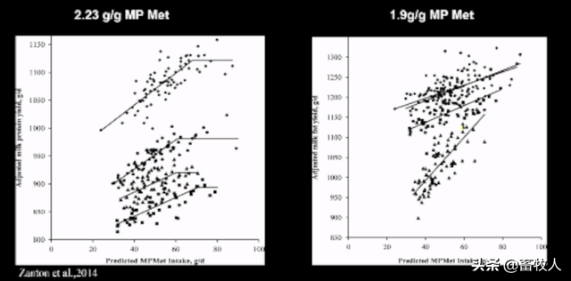 「学习笔记」卜登攀研究员：过瘤胃氨基酸生物利用率评价与利用