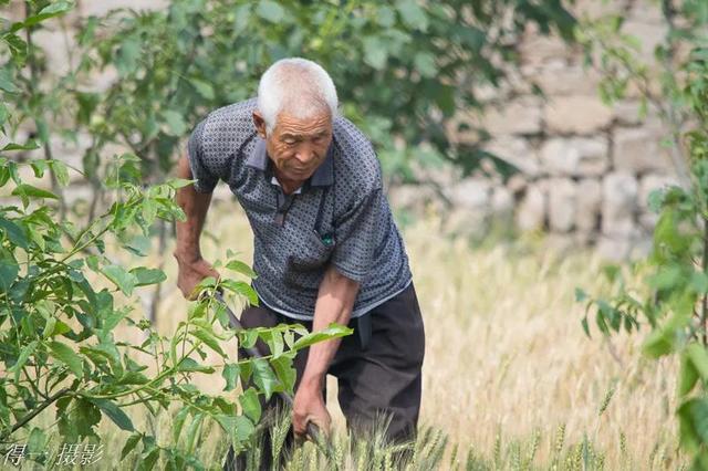 父亲你在天堂里过的好吗,清明节,怀念我的父亲