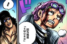 海贼王1080话分析：关于SWORD的研究图片