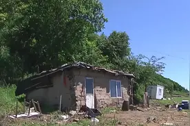 家蛇不咬人？黑龙江女子与20条大蛇同居15年，小偷都不敢进屋图片