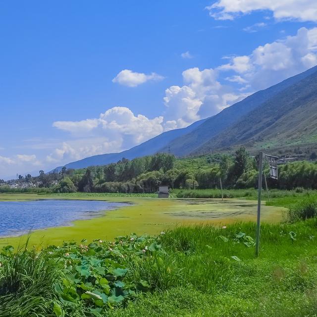 ����Ȧ������ĵ�����ϵ�İ�