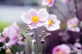 永远也不要穿别人的旧衣服，这3个原因，你不能忽略！图片