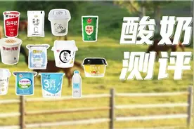 20款低温酸奶测评：你是为了益生菌买酸奶的吗？图片