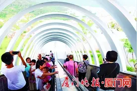 火了！进园人数翻倍！植物园南门观景扶梯成新打卡地图片