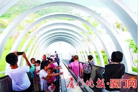 火了！进园人数翻倍！植物园南门观景扶梯成新打卡地图片
