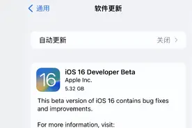 iOS 16.0 beta 内测，真有息屏功能？图片