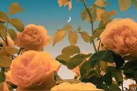 不管是夫妻还是恋人，若出现这三个征兆，说明缘分已尽图片