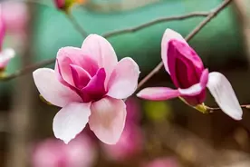 人这一辈子，别为难自己！（说得真好）图片