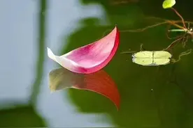 父亲生前笔记摘录（1990～2000年）图片