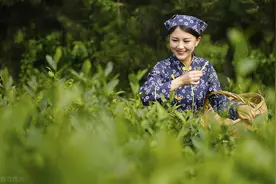 一位中年男士分析李某迪事件 良家妇女很可怕？（上）图片