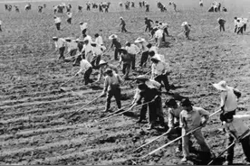 为什么生产队的时候多数人都很瘦？而现在的人胖人越来越多？图片