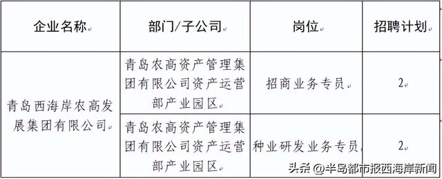 西海岸新区这些岗位招聘，速报名