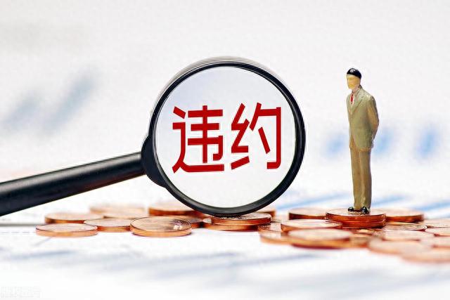 最新民间借贷逾期利率如何表述，民间借贷纠纷案件的借款利息问题怎么解决 配图05