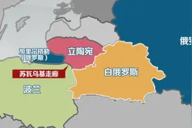 敢叫板俄罗斯，对中国以怨报德，立陶宛为何敢有如此底气？图片