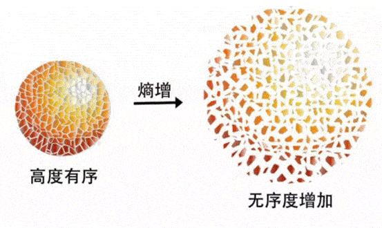 物理学中有一条令人绝望的熵增定律,即:熵增过程是一个自发的由有序向