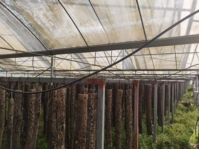 四川省民生研究会新媒体中心-官网