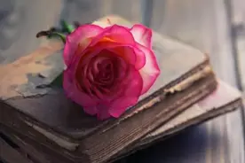 以下五句话，聪明的人烂在肚子里，糊涂的人经常对亲家说图片