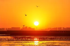 这一生，你所遇见的人，都是老天派来渡你的图片