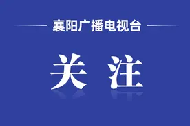 湖北高考分数线、一分一段表发布！图片